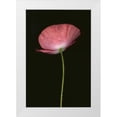 thumbnail image 3 of Vitaly Geyman 17x24 White Modern Wood Framed Wall Art Titled - Pink Poppy I, 3 of 5
