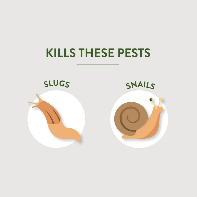 Garden Safe Slug & Snail Killer, 2 lbs Granules for Lawn and