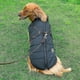 thumbnail image 3 of Large Pet Dog Jacket With Harness Winter Warm Dog Clothes Waterproof, 3 of 5