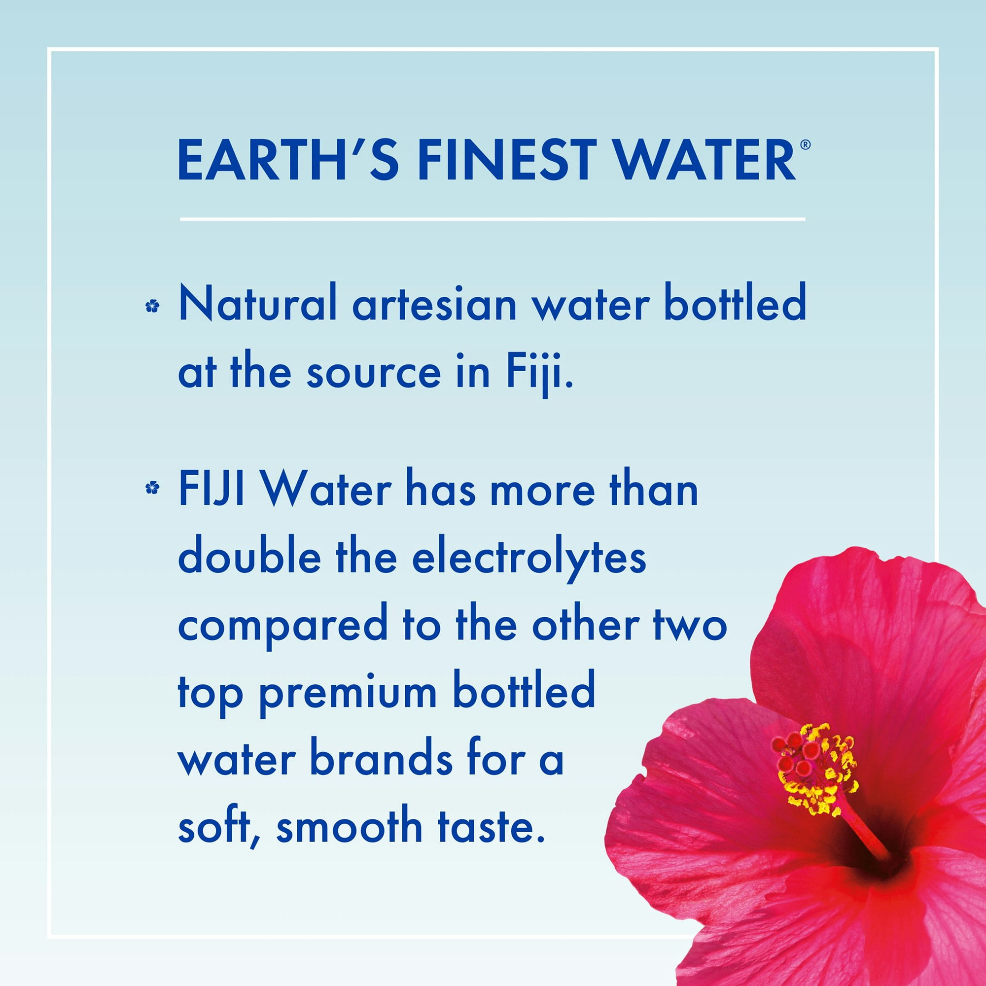 Fiji Artisan Water 1 L 6 Pack 202.8 fl oz (Pack Of 2)
