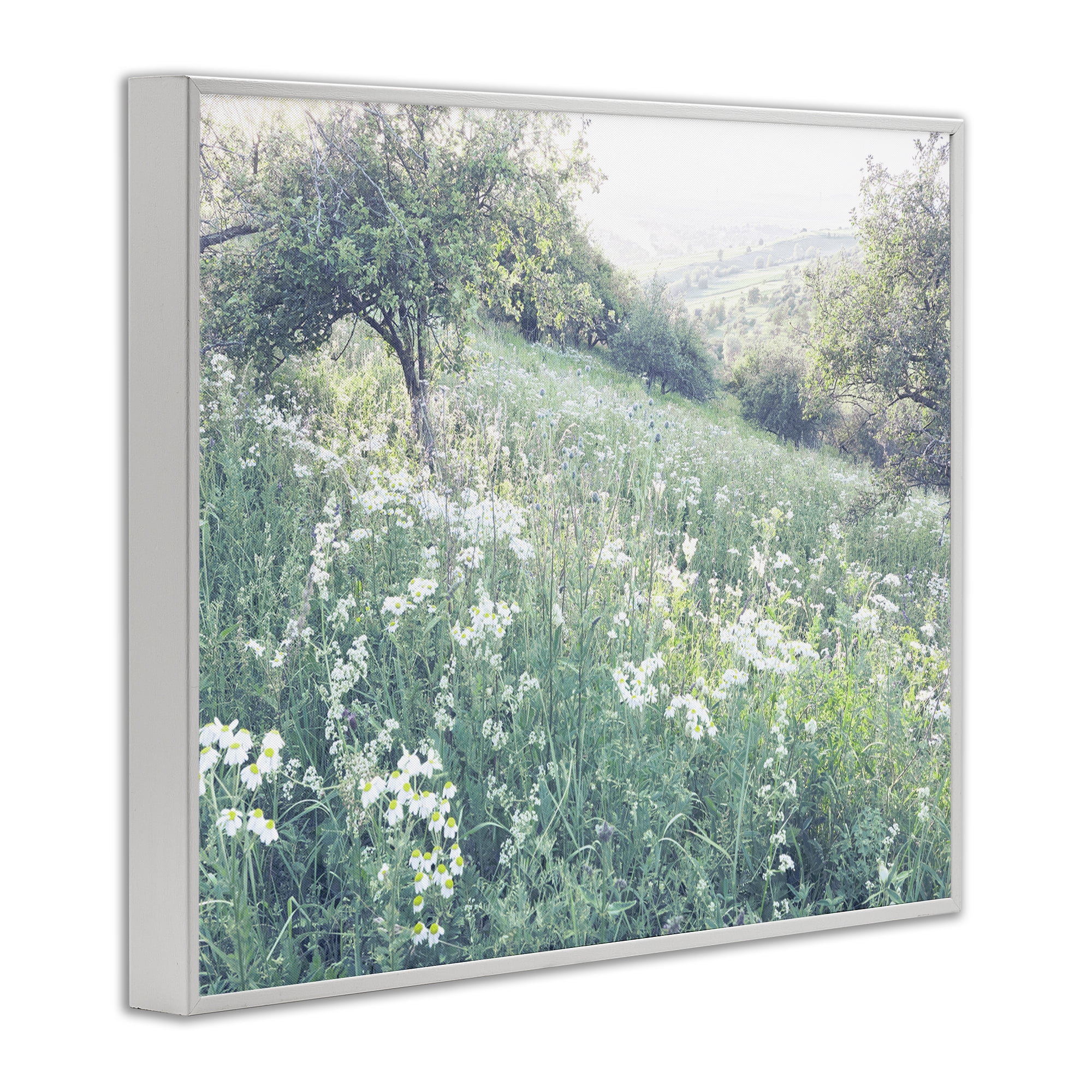Stupell Industries Sunny Daisies in Meadow White Framed Giclee Art, design by Leah Straatsma