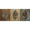 thumbnail image 2 of Pinto, Patricia 14x8 Black Ornate Wood Framed with Double Matting Museum Art Print Titled - New Leaf Panel II, 2 of 4