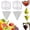1, variant on Fruit Shaping Mold for Growing Unique Vegetables, Creative Cube Shaped Fruit Vegetable Mold, Plant Shaper for Home Gardeners Lunch Boxes Educational Projects Garden Party Garnishes