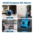 thumbnail image 5 of Línea XPOWER Mini Air Mover, 5 of 5