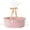 Light Pink, variant on Gift Basket with Wrap Bag and Ribbon, Empty Small Woven Basket for Gift, Cute Decorative Gift Organizer for Baby Showers, Raffle, Valentine‘s, Easter and Mum – 12"x8"x5", Light Blue