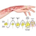 thumbnail image 4 of Re'starThermopureWhite-calciteSpinnerRing,MenlogieThermicRotatableRingNew, 4 of 5