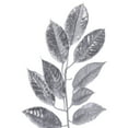 thumbnail image 2 of Vickerman 6' Silver Artificial Gardenia Glitter Garland., 2 of 5