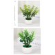 thumbnail image 5 of Zhuge piezas de plantas de simulación en maceta, pequeñas plantas falsas en maceta, mini plantas artificiales de escritorio (A09), 5 of 5