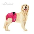 thumbnail image 4 of Paw Inspired Washable Dog Diapers Reusable Dog Diapers Female Dog Diapers Absorbent Dog Diapers Doggie Diaper 2 Pc Multiple colors Assorted (Black Lining) X-Large, 4 of 6