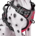 thumbnail image 3 of No-pull Dog Harness Padded Adjustable Pet Vest Harness For Large Dogs Training Or Walking, 3 of 5