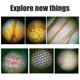 thumbnail image 5 of Mini microscopio de mano para niños, microscopio portátil de aumento de 30x, educación científica, regalo de observación de insectos, 5 of 10