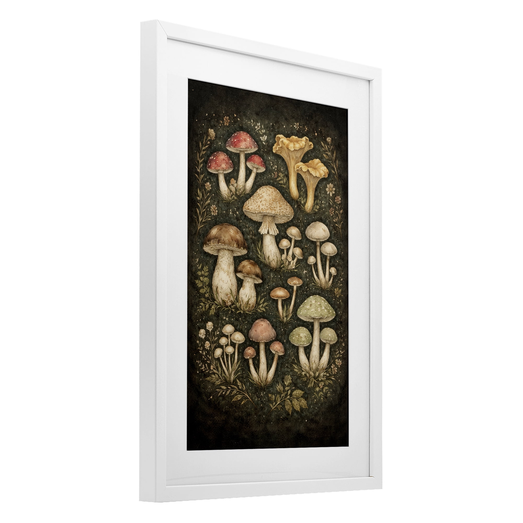 Stupell Industries Organic Sprouting Mushrooms White Framed Print Under Glass, design by Tom Crehan