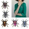 thumbnail image 3 of SIEYIO Distinctive Spiders Shaped Brooch with Rhinestones Embellishment for Gatherings, 3 of 20