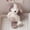 Spotted dog, variant on Cute Ugly Duck Plush Toy, Fluffy Stuffed Animal Doll, Soft Kawaii Duck Plushie, Cozy Hug Companion for Bed & Sofa, Squishy Plush Decor, Adorable Gift for Home & Relaxation