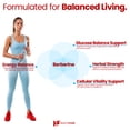 thumbnail image 5 of HealthFare Berberine with Ceylon Cinnamon 2500mg | 60 Veg Capsules | Premium Herbal Blend | Non-GMO, Gluten-Free | Made in the USA, 5 of 6