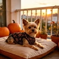 thumbnail image 7 of Halloween Dog Clothes Dog Halloween Shirts Tank Tops with Claw Spider Net Pumpkin Patterns Pet Halloween Costumes Puppy Shirt Vest for Small Medium Dogs, 7 of 7