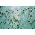thumbnail image 3 of FOREO Farm To Face Sheet Mask - Green Tea (x3), 3 of 5