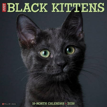 Willow Creek Press, Black Kitties 2026 Wall Calendar, 12'' X 12'', 18-Month Calendar with Stapled Binding