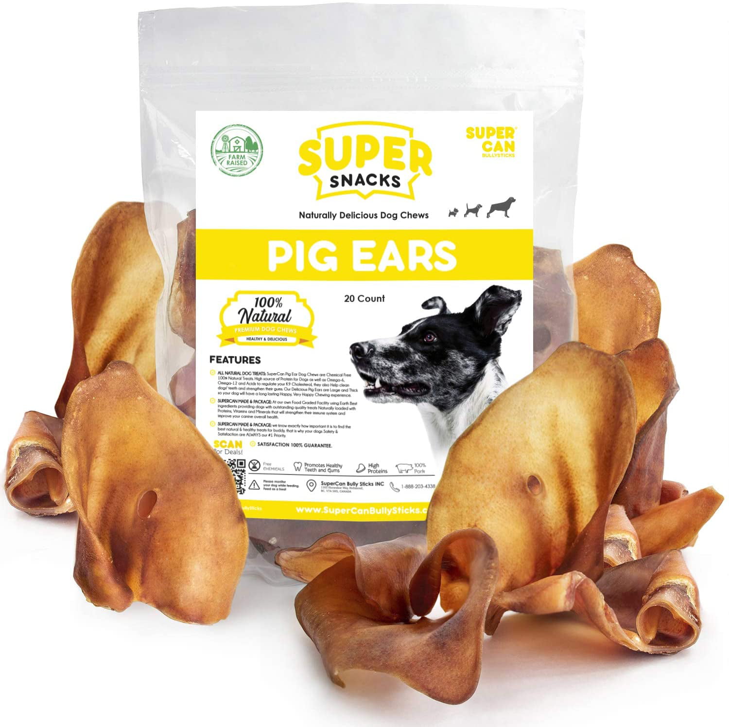 Quality Dog Chews 100% Natural Pork Ears Full of Protein for Your Pet 123 Treats Pig Ears for Dogs 50 Count 