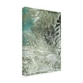 thumbnail image 2 of Renee W Stramel 'Salt Water II' Canvas Art, 2 of 3