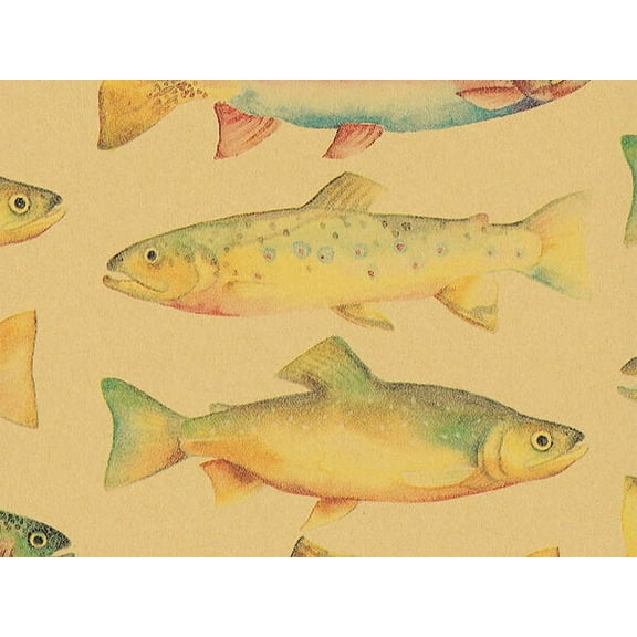 Pack of 1, Rainbow Trout 26" x 833' Full Ream Roll Gift Wrap for Holiday, Party, Kids' Birthday, Wedding & Special Occasion Packaging