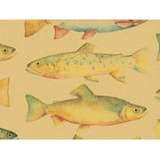 Pack of 1, Rainbow Trout 24" x 417' Half Ream Roll Gift Wrap for Holiday, Party, Kids' Birthday, Wedding & Special Occasion Packaging