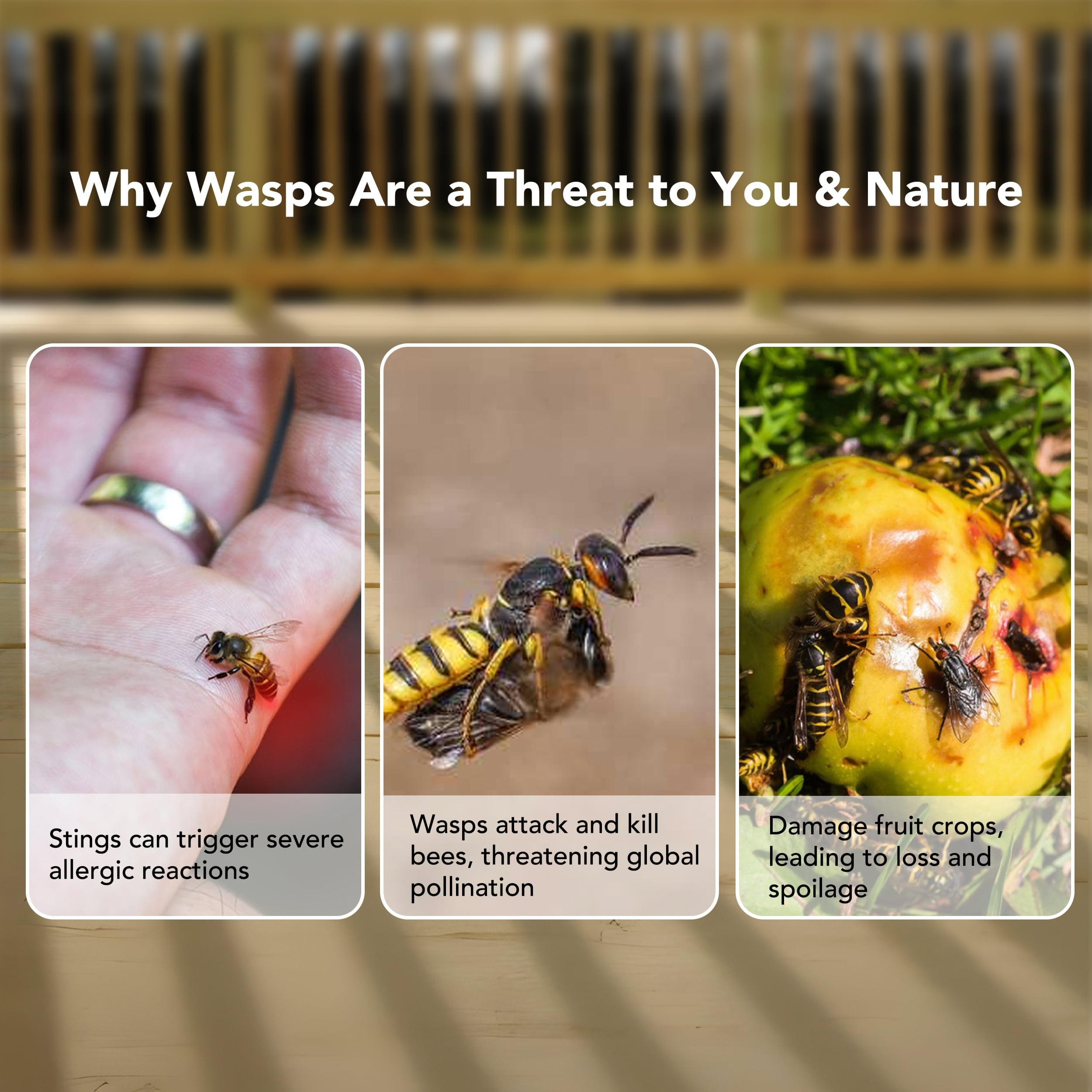 Aspectek Wasp Trap - Wasp Trap Catcher, Bee Trap, Outdoor Wasp Deterrent Killer Insect Catcher Honeybee Trap