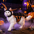 thumbnail image 5 of Centipede Cat Costume, 50'' 3D Halloween Pet Cosplay Outfit for Cats, Multi-Leg Character with Filled Body, Hook-and-Loop Fit for Parties Photos Dress-Up Pet Events and Gifts,Gold, 5 of 7