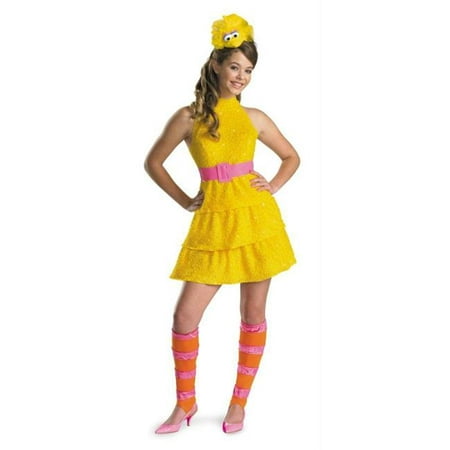Costumes For All Occasions Dg11480G Big Bird Child Large