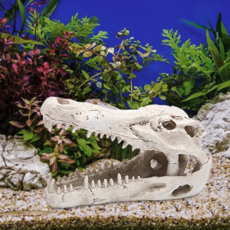 dinosaur fish tank accessories Decorations | Realistic Dinosaur Skull Decor Aquarium Dinosaur Ornaments Measuring 4.33” (W) x 2.95” (D) x 2.76” (H) UNDERWATER TREASURES Dinosaur Skull Fish