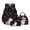 Black-Cat Planet Moon Stars, variant on Kuiaobaty Pilot Poodle Print Kids Backpack with Lunch Bag Portable Insulated Lunch Box and Backpack with Bottle Holder Large Capacity School Bag Pencil Case for Travel Camping