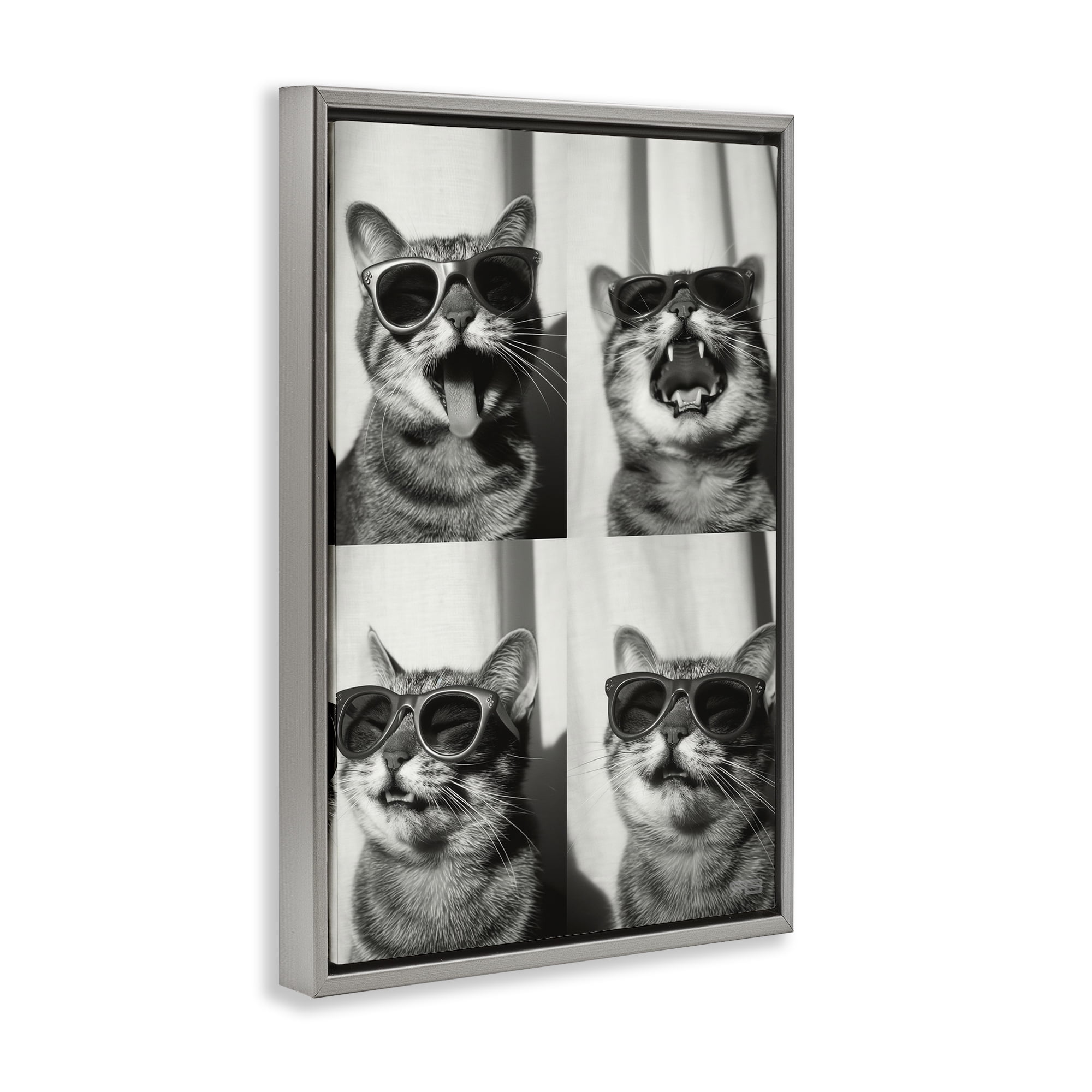 Stupell Industries Photobooth Style Cat Novelty Painting Gray Floater Framed Art Print Wall Art, 21 x 31
