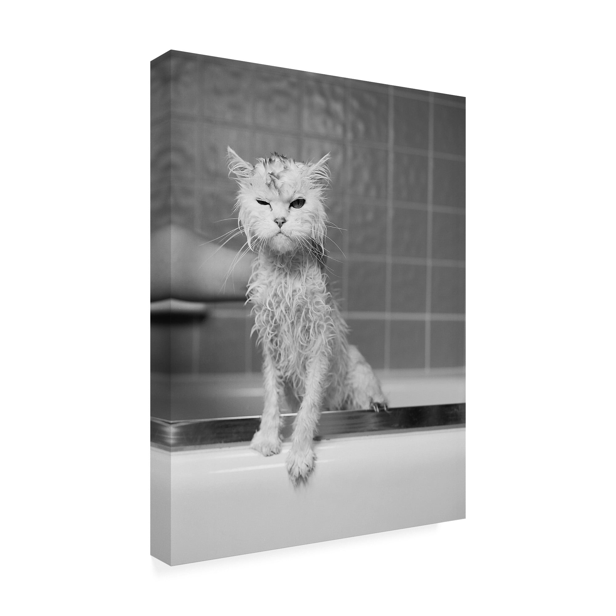 Trademark Fine Art 'Berts Bath' Canvas Art by James Fla
