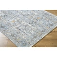 thumbnail image 3 of Boutique Rugs Finn Traditional Area Rug - Silver, Nutmeg, Cloud Gray - 9' x 12'2", 3 of 13