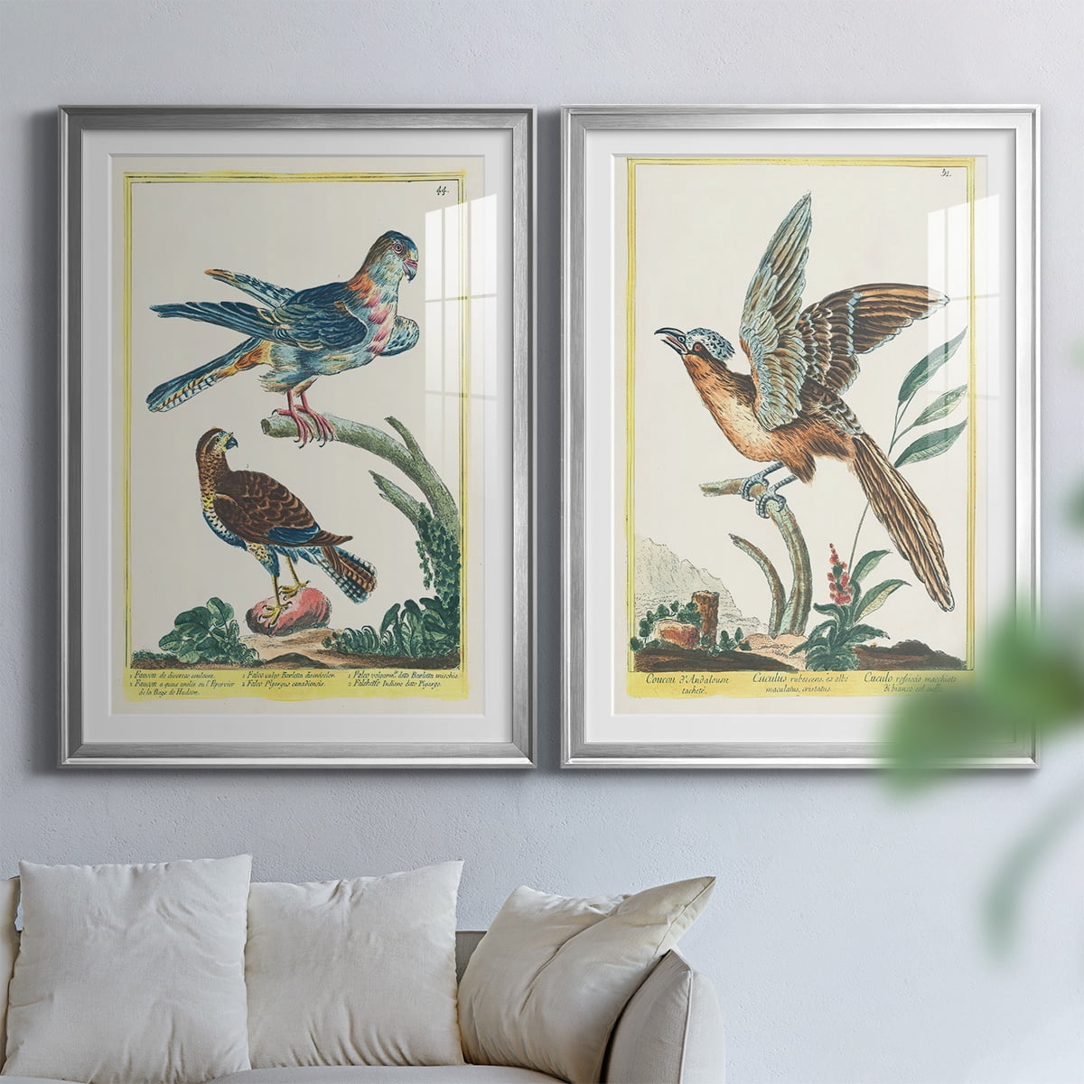 Wexford Home Pastel Birds V Premium Framed Print, 22.5" x 30.5" - Ready to Hang, Silver (Set of 2)
