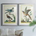 thumbnail image 6 of Wexford Home Pastel Birds III Premium Framed Print, 22.5" x 30.5" - Ready to Hang, Silver (Set of 2), 6 of 9
