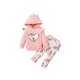 thumbnail image 1 of Conjuntos de ropa para niñas bebés Conjunto de pantalón de manga larga Conjunto de top con volantes y capucha con patrón de corazón XBTCLXEBCO Rosa, 3 años, 1 of 6