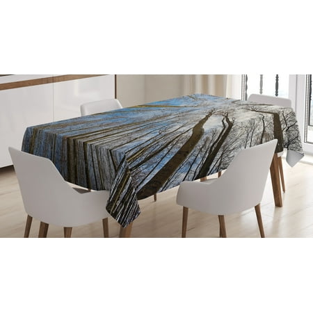 

Ambesonne Scenery Tablecloth Rectangular Table Cover Clouds Morning Scene 52 x70 Blue Brown