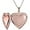 Rose Gold, variant on Stainless Steel Heart Shaped Locket Style Statement Party Wedding Promise Anniversary Pendant Necklace