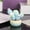 Blue_Base#1383, variant on Qaailabf Cactus Simulation Resin Craft Ornament | Small Potted Plant Decoration | Blue Cactus Design - 6.5x3.8x3.3cm | Cute Gift for Home, Car, or Desk | 1 Piece