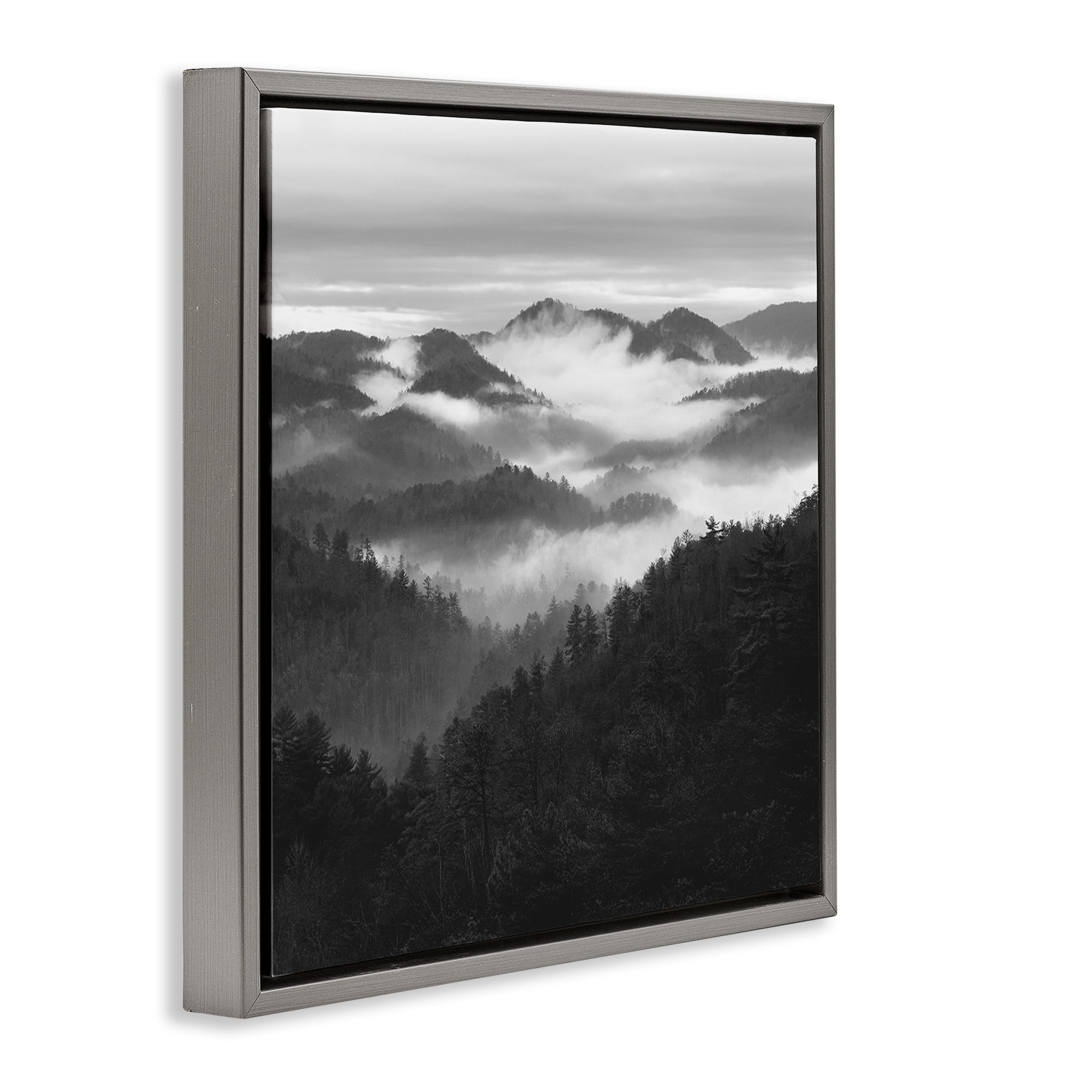 Stupell Industries Smoky Mountains Forest Gray Framed Floater Canvas Wall Art, design by Nicholas Bell