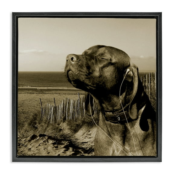 Stupell Industries Relaxed Dog with Music Animals & Insects Photography Black Floater Framed Canvas Art Print Wall Art, 18 x 18