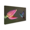 thumbnail image 2 of Trademark Fine Art 'Target Practice' Canvas Art by Greg Barsh, 2 of 3