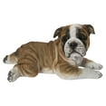 thumbnail image 1 of Chiot BULLDOG Couché, 1 of 4