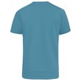 thumbnail image 2 of Duke Mens D555 Signature 2 V Neck T-Shirt, 2 of 4