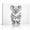 D, variant on XaaKee Canvas Wall Art Cute Koala Toilet Paper Bathroom Animal Whimsical Sketch Canvas Prints Inner Framed 18*12Inch