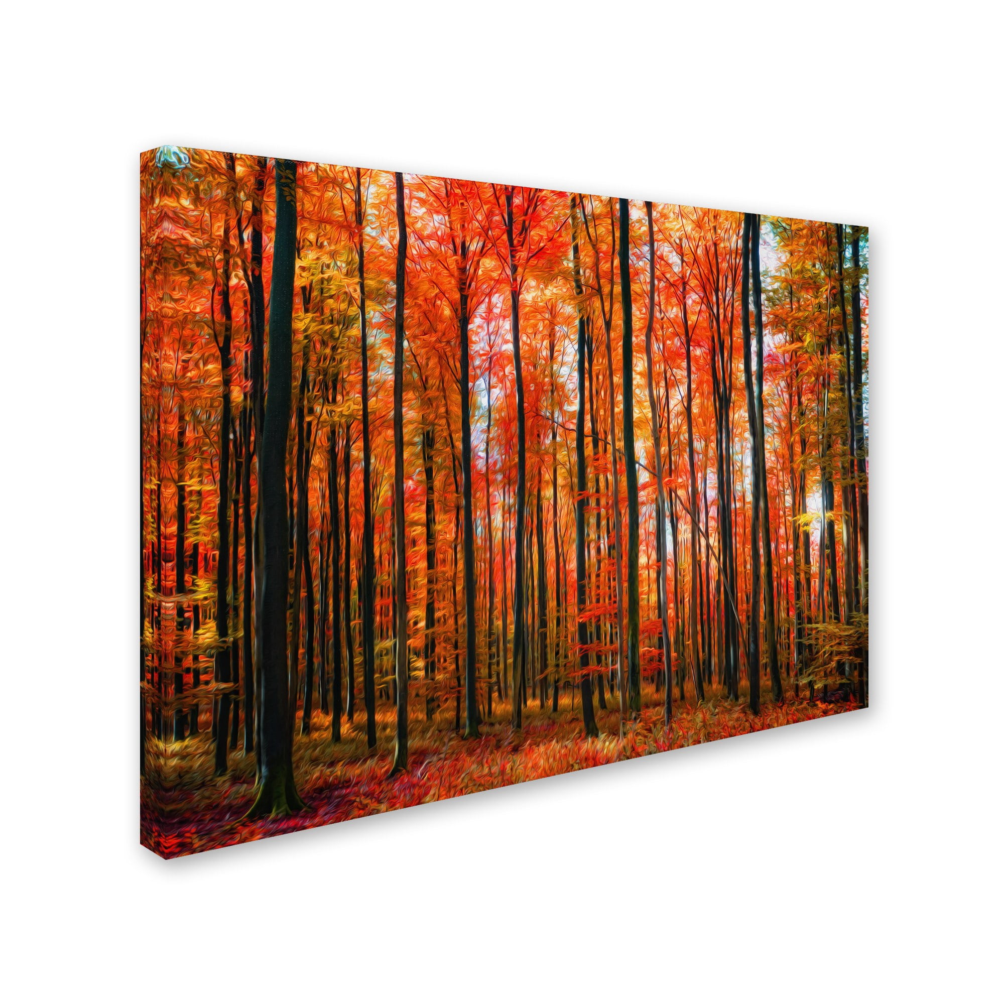 Trademark Fine Art "Dominated" Canvas Art by Philippe Sainte-Laudy