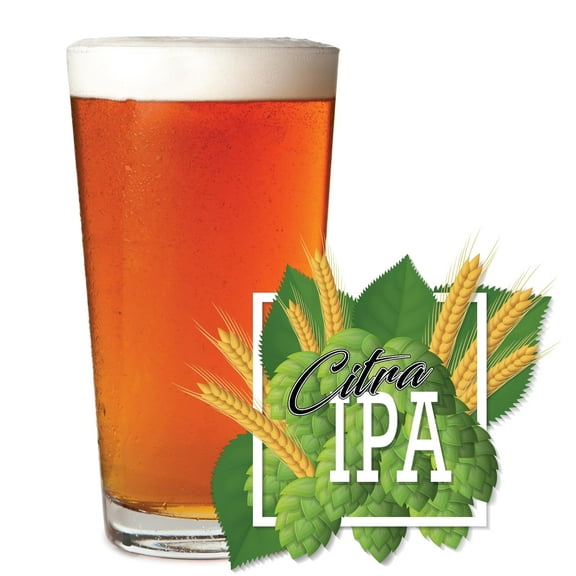 Homebrewstuff Citra IPA Beer Brewing Recipe Kit 5 Gallon Homebrew