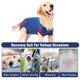 thumbnail image 3 of Traje de recuperación para perros después de una cirugía Heridas abdominales para cachorros Ropa posoperatoria Cono de collar isabelino Sustituto de chaleco protector para mascotas, 3 of 9
