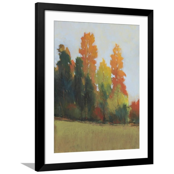Art.com Fall Colors II Art Print by Tim OToole, Black Frame Wall Art, 32" x 40"